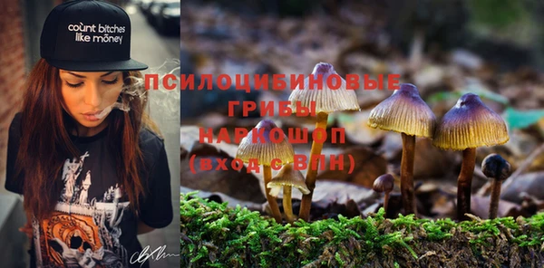 меф Горняк