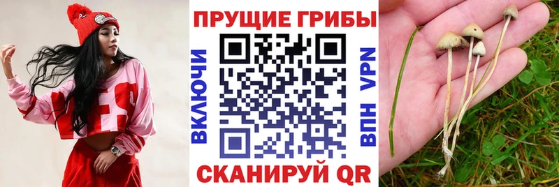 Галлюциногенные грибы ЛСД  Любань 